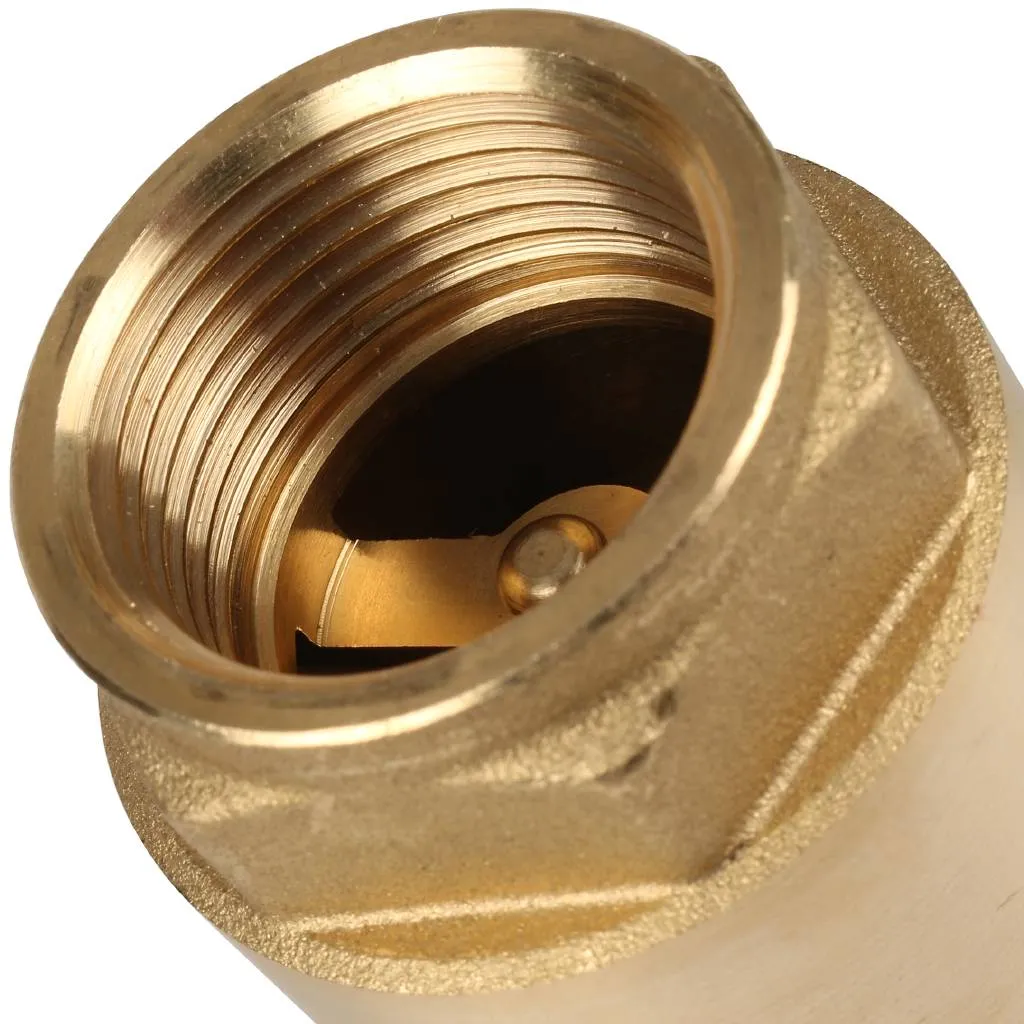 Клапан обратный пружинный муфтовый Itap EUROPA 100 1 с металлическим седлом