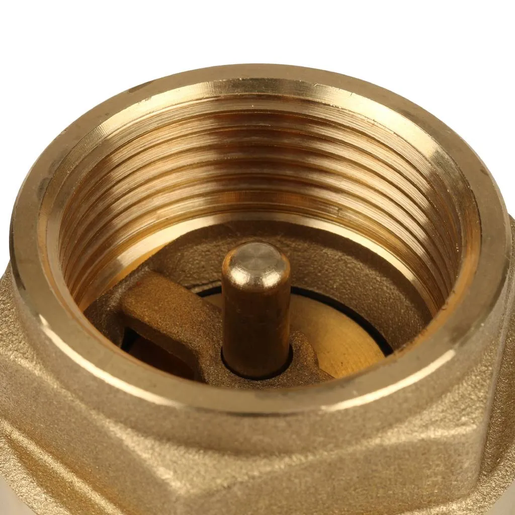 Клапан обратный пружинный муфтовый Itap EUROPA 100 1 1/4 с металлическим седлом