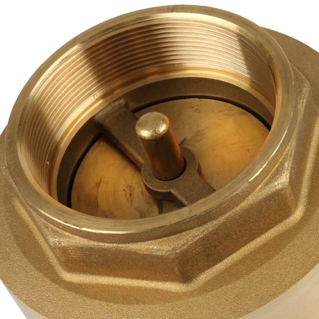 Клапан обратный пружинный муфтовый Itap EUROPA 100 3 с металлическим седлом