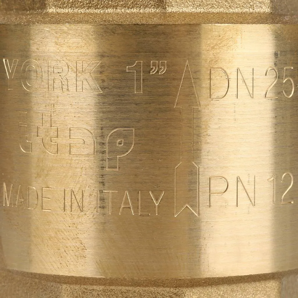 Клапан обратный пружинный муфтовый Itap YORK 103 1 с пластиковым седлом