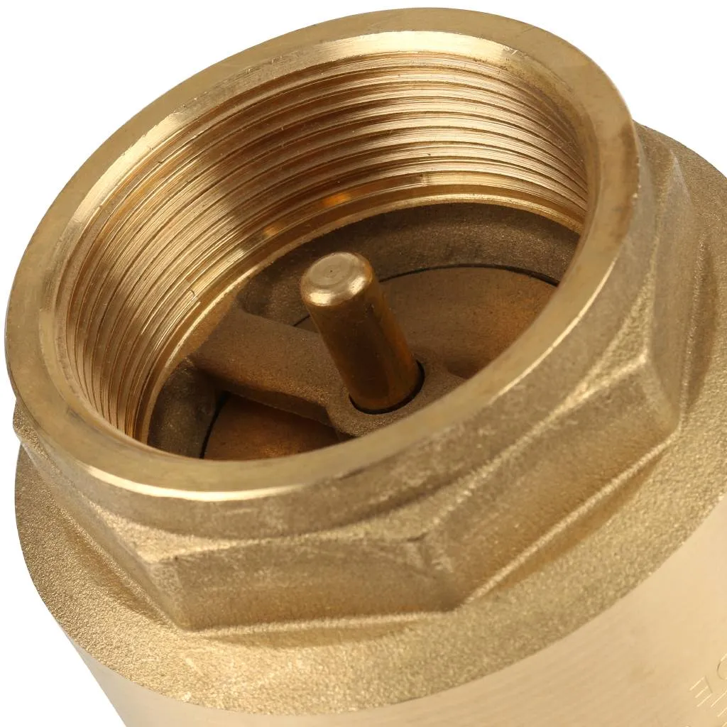 Клапан обратный пружинный муфтовый Itap EUROPA 100 2 с металлическим седлом