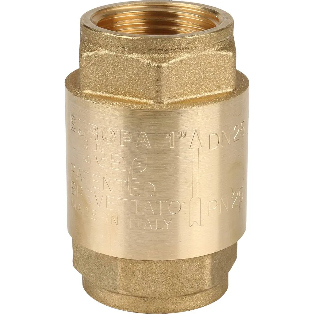 Клапан обратный пружинный муфтовый Itap EUROPA 100 1 с металлическим седлом