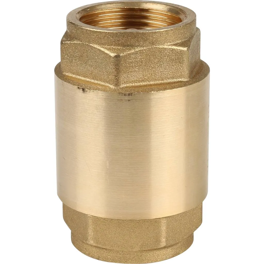 Клапан обратный пружинный муфтовый Itap EUROPA 100 1 с металлическим седлом