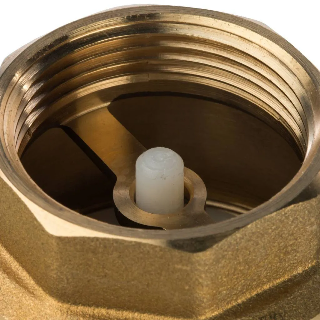 Клапан обратный пружинный муфтовый STOUT 1 1/4 с пластиковым седлом