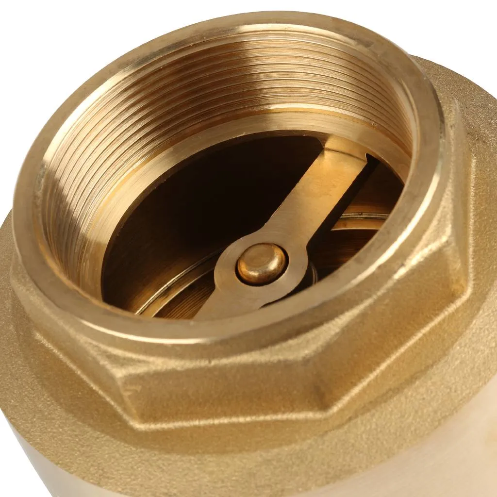 Клапан обратный пружинный муфтовый Itap EUROPA 100 2 1/2 с металлическим седлом