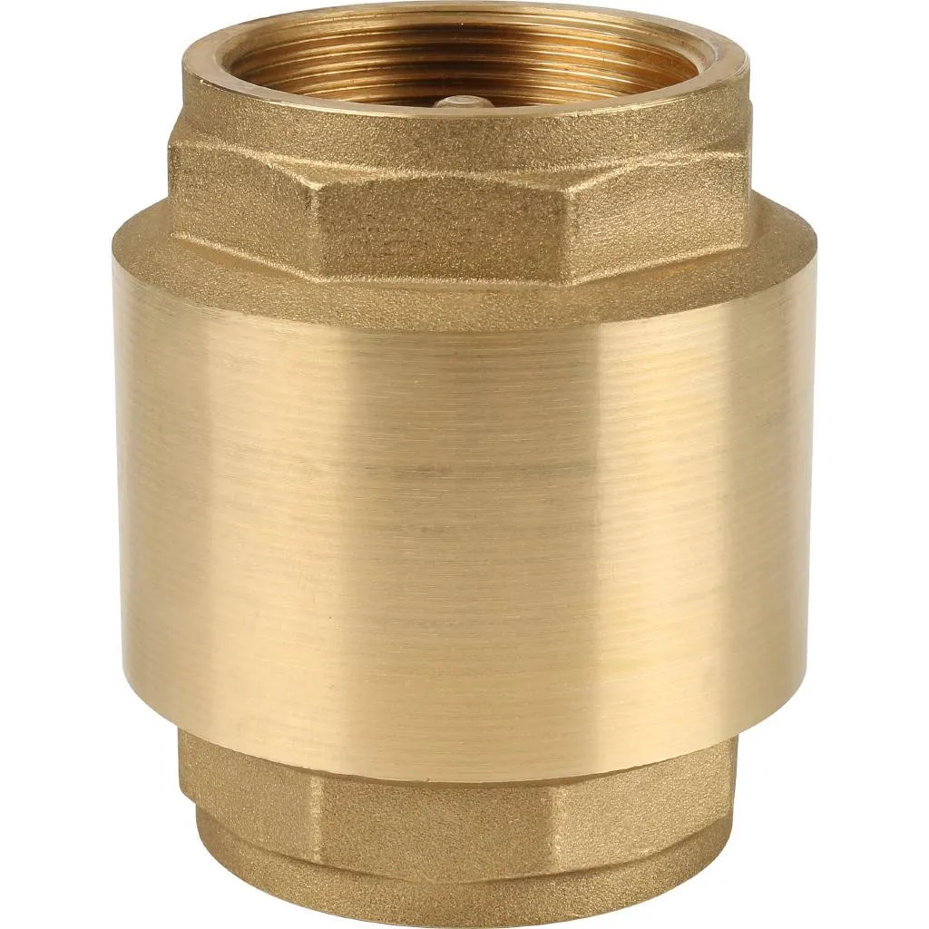 Клапан обратный пружинный муфтовый Itap EUROPA 100 2 с металлическим седлом