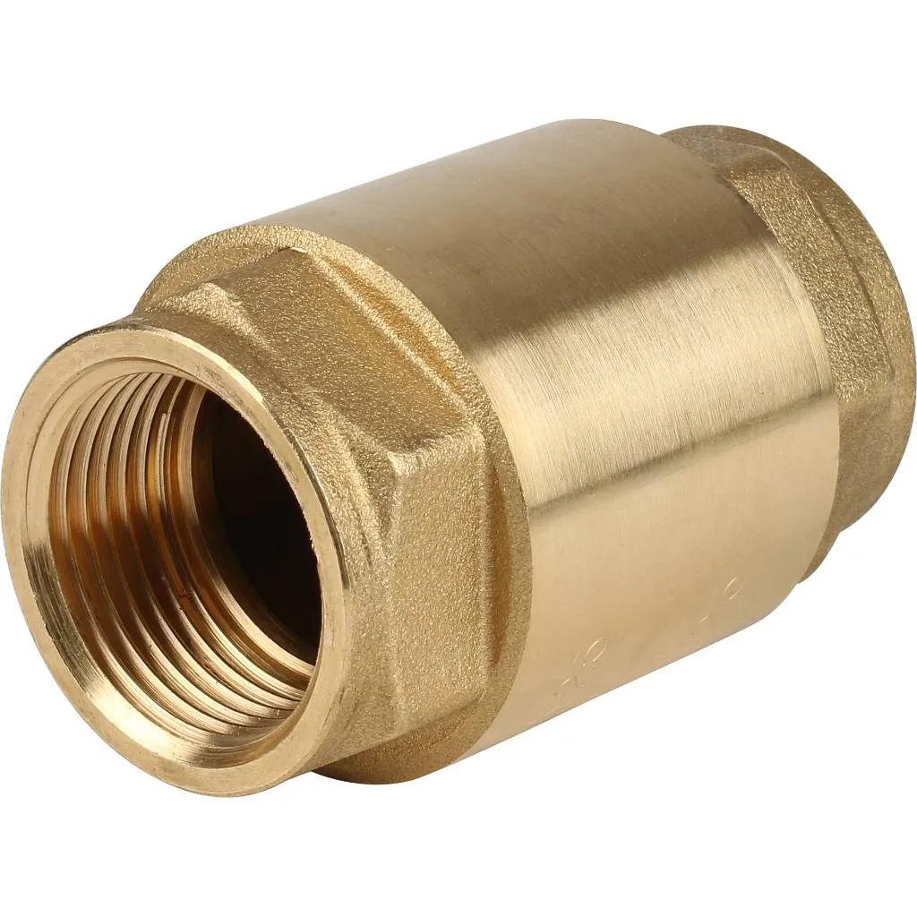 Клапан обратный пружинный муфтовый Itap EUROPA 100 1 с металлическим седлом