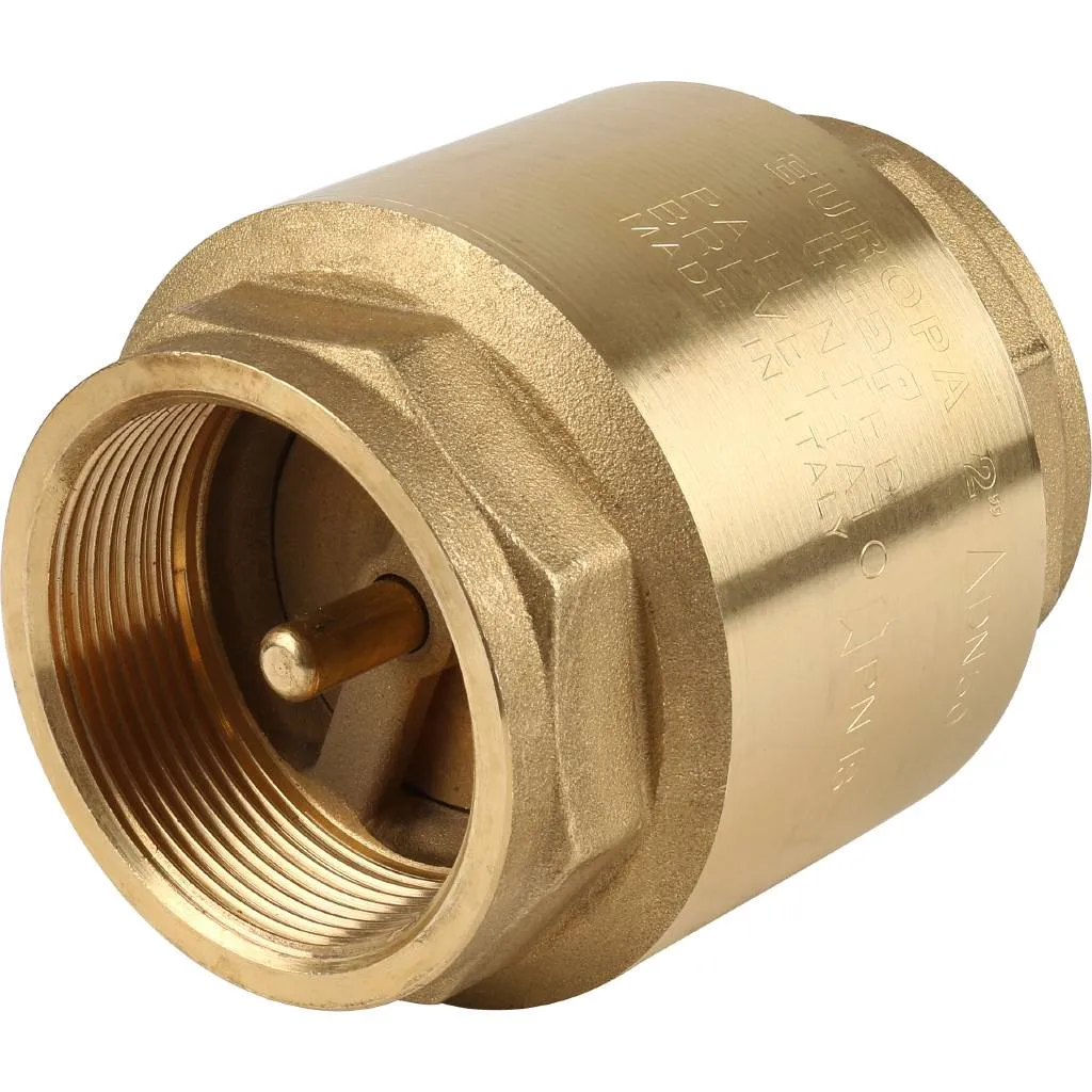 Клапан обратный пружинный муфтовый Itap EUROPA 100 2 с металлическим седлом