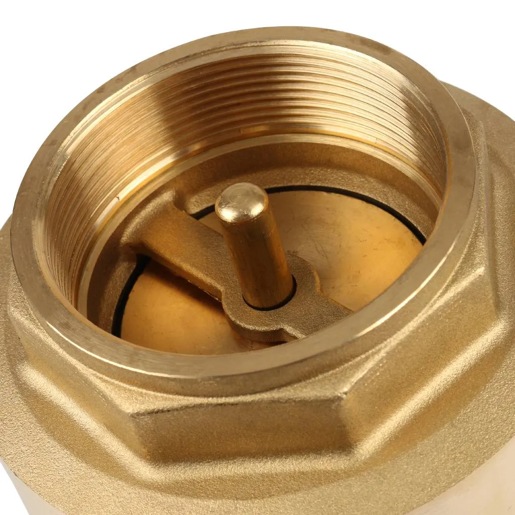 Клапан обратный пружинный муфтовый Itap EUROPA 100 2 1/2 с металлическим седлом