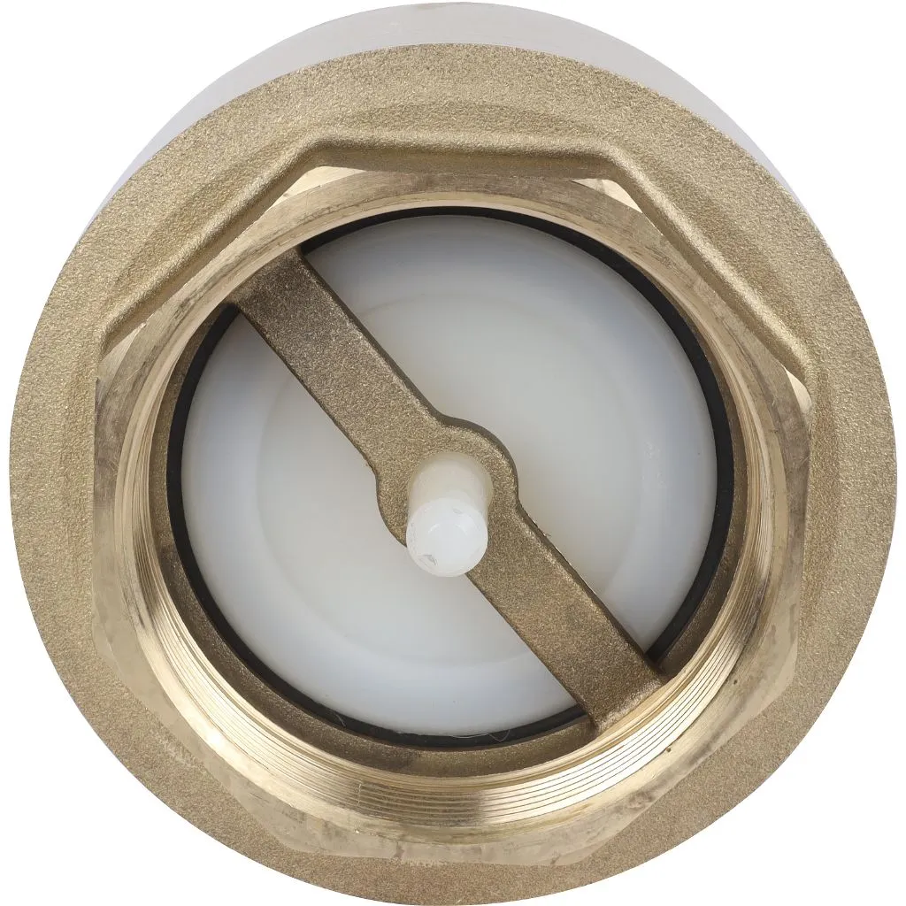 Клапан обратный пружинный муфтовый Itap YORK 103 3 с пластиковым седлом