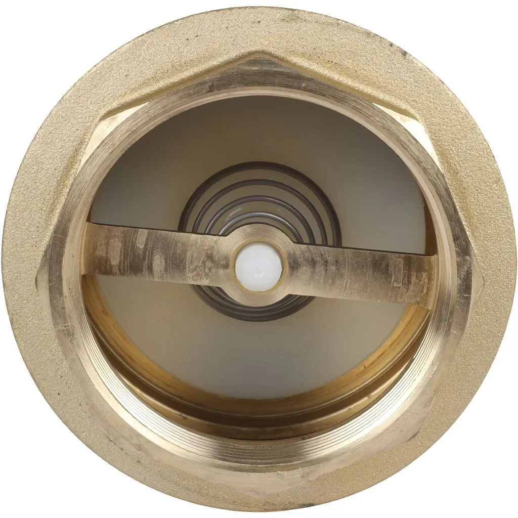 Клапан обратный пружинный муфтовый Itap YORK 103 3 с пластиковым седлом