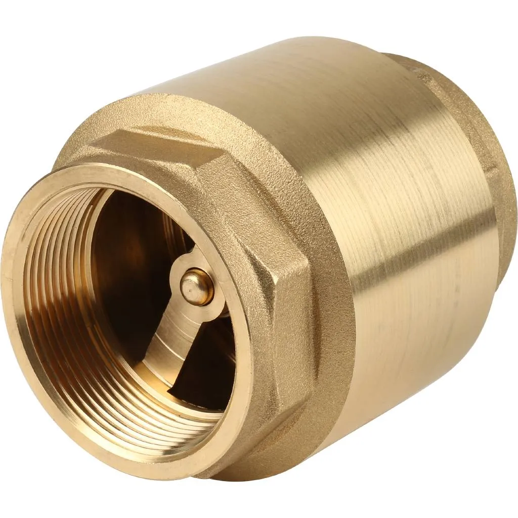 Клапан обратный пружинный муфтовый Itap EUROPA 100 2 с металлическим седлом