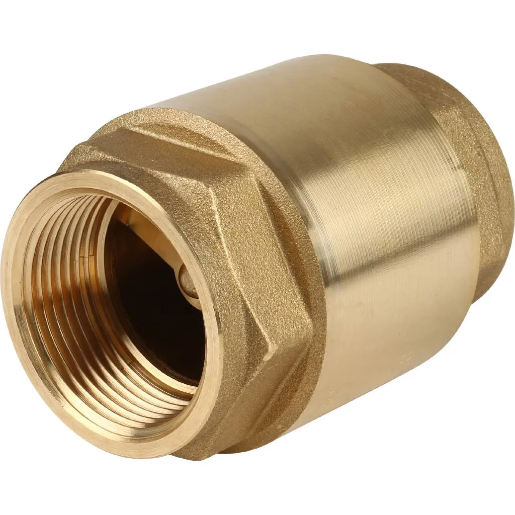 Клапан обратный пружинный муфтовый Itap EUROPA 100 1 1/4 с металлическим седлом