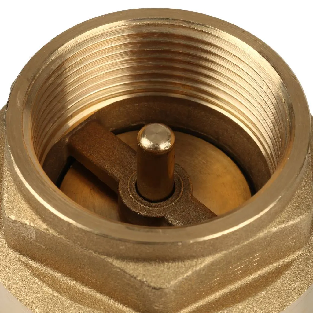 Клапан обратный пружинный муфтовый с металлическим седлом Itap EUROPA 100 1 1/2