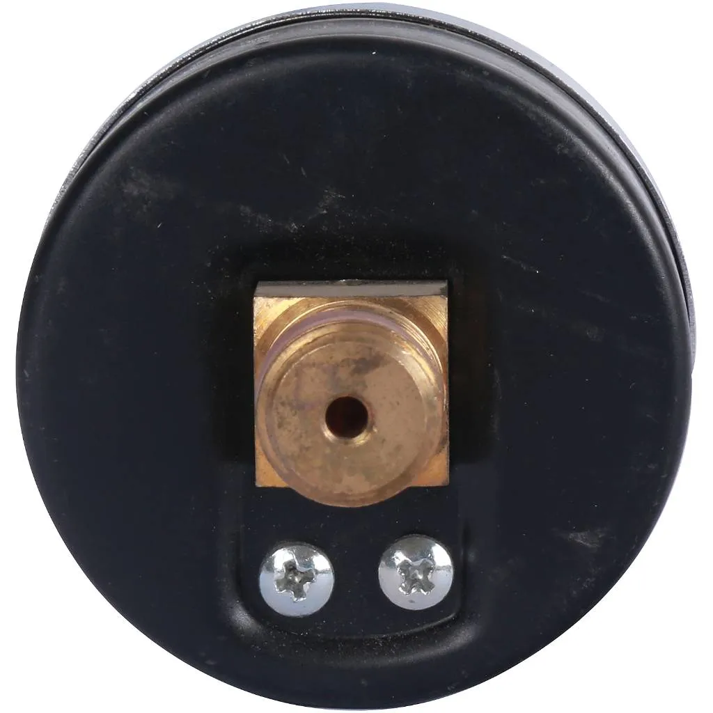 Манометр WATTS для систем с высокой температурой 1/4