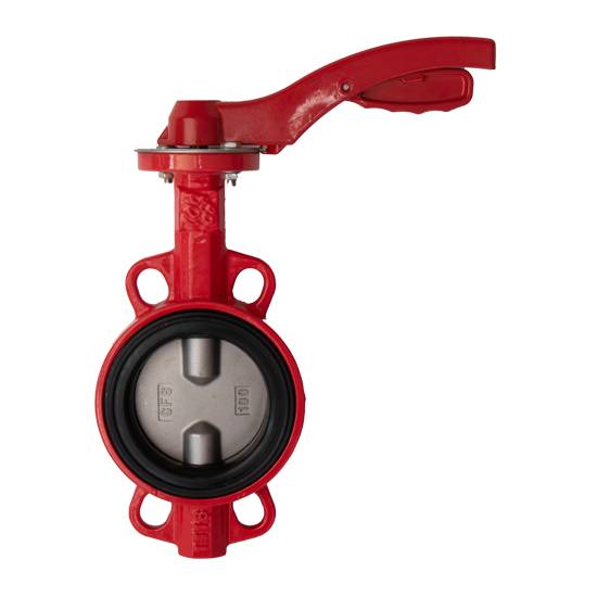 Затвор дисковый поворотный РАШВОРК DN250 PN16, GG25 / CF8 / EPDM, М/Ф, с рукояткой