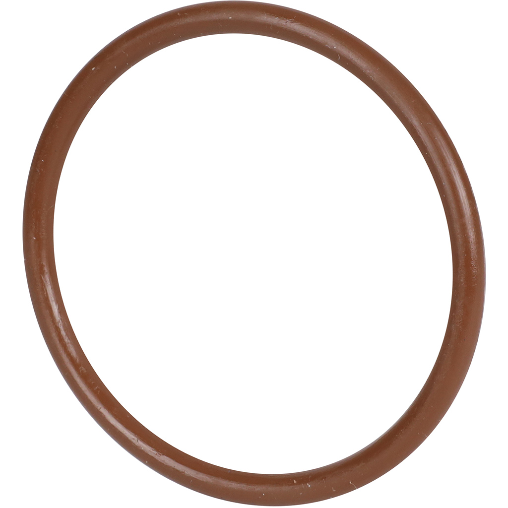 Уплотнительное кольцо ROMMER из FPM, 54, RSS-0028-000054