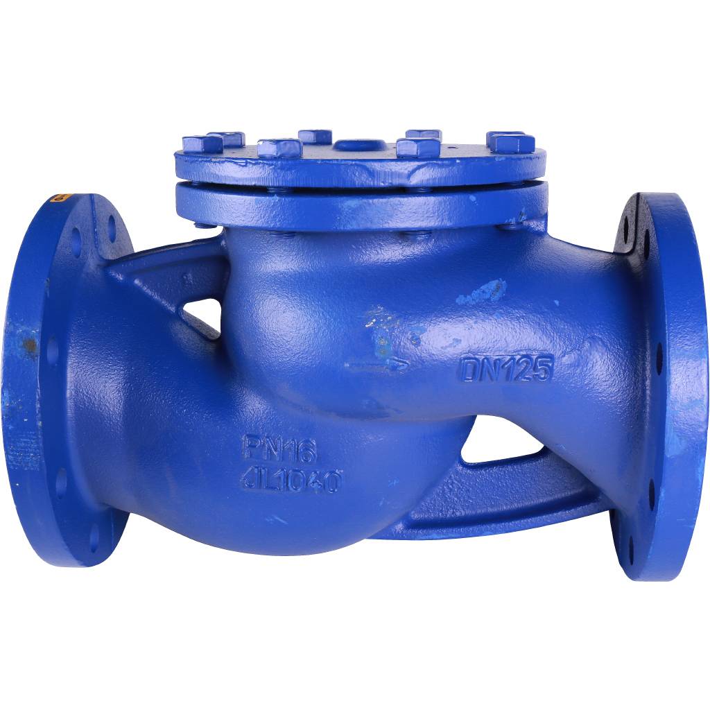 Клапан обратный подъемный ZETKAMA 287A Ду125 Ру16 фланцевый из чугуна, 287A125C31