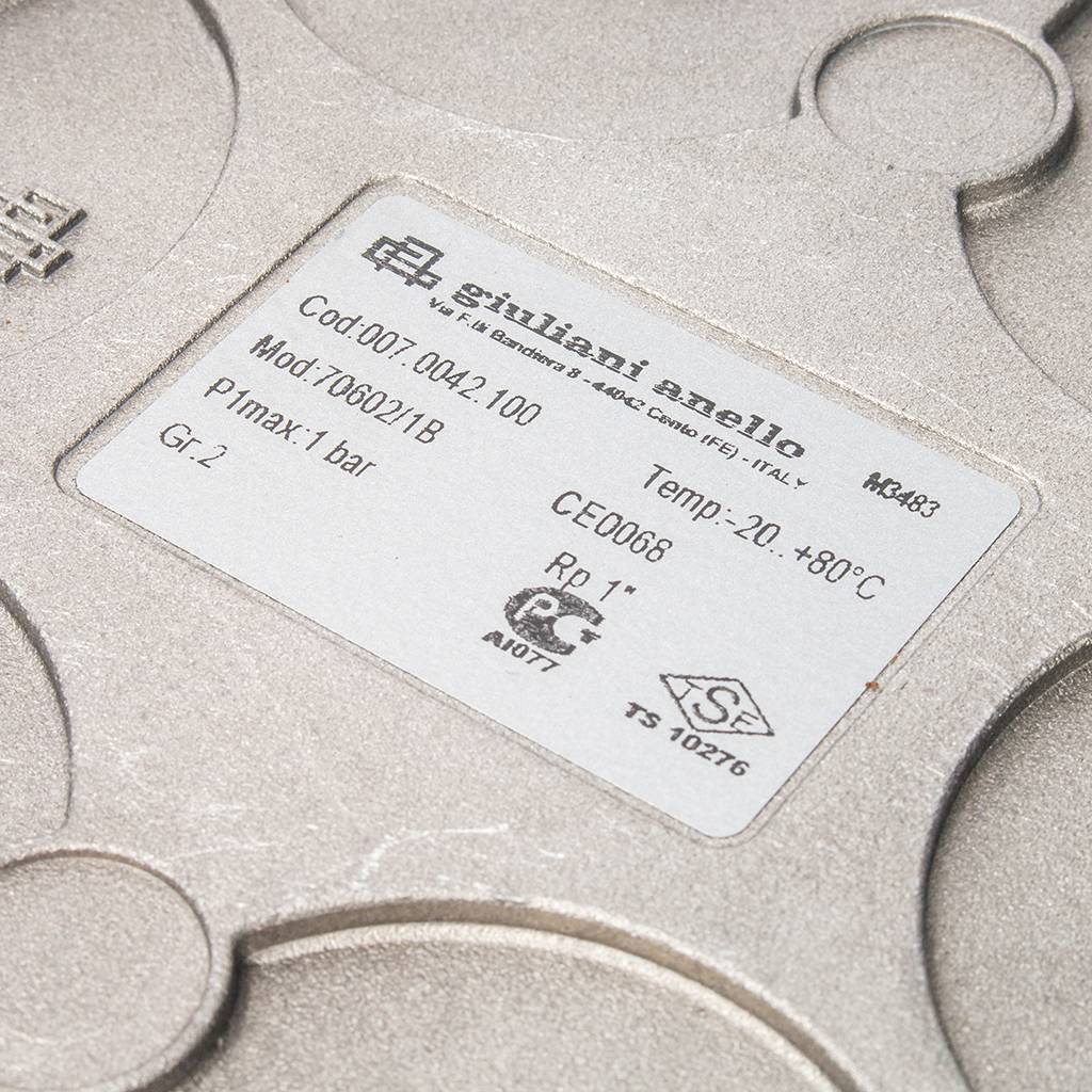 Фильтр газовый Watts 1 FG 25 ( до 1 бара), 10020991