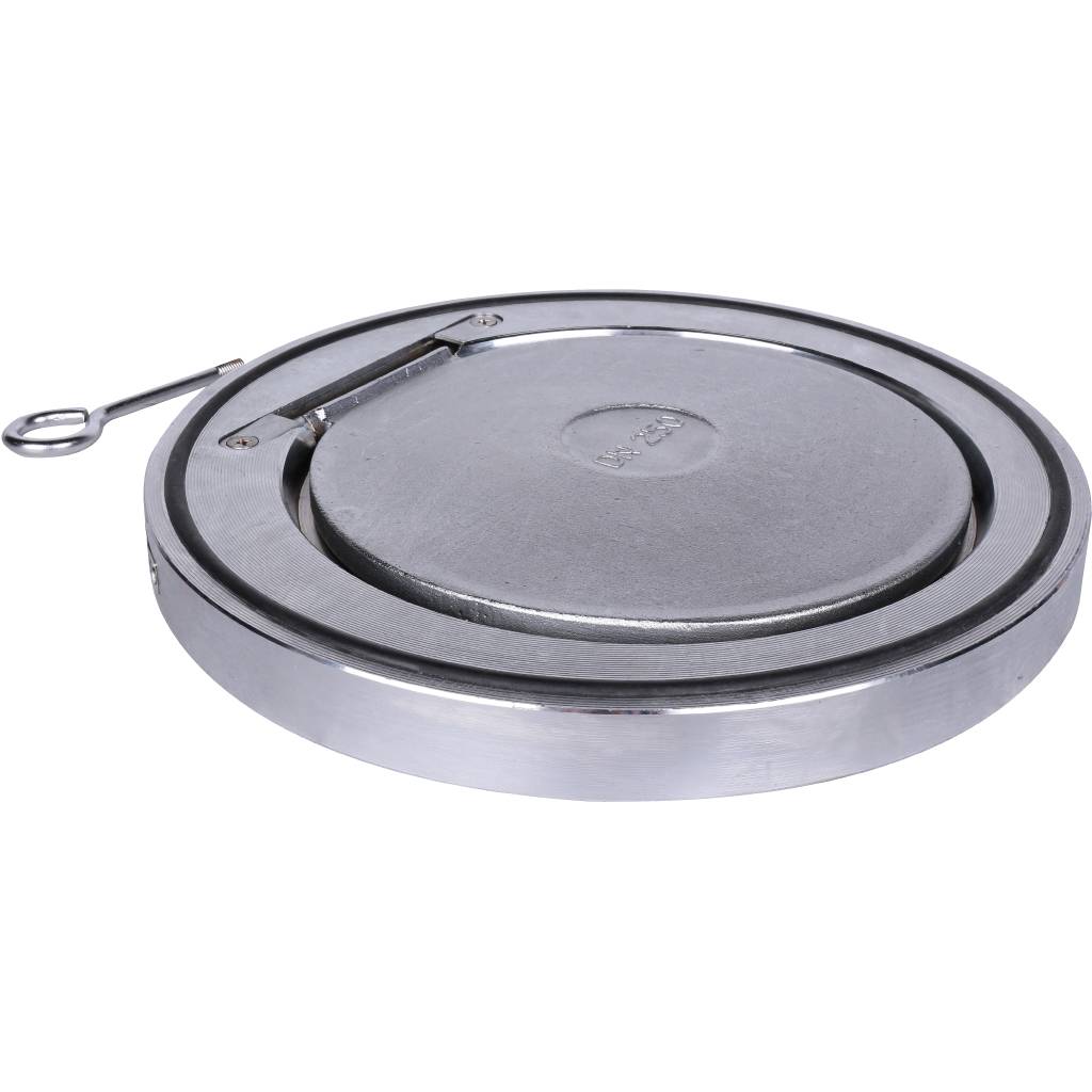 Клапан обратный Tecofi Ду250 Ру16 1/ств стальной межфланцевый стальной, CB5440-0250