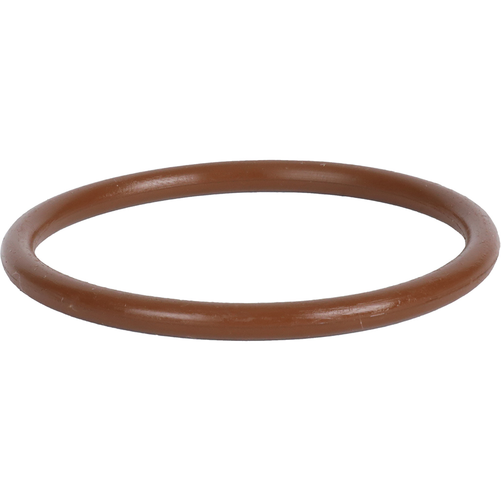 Уплотнительное кольцо ROMMER из FPM, 54