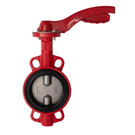 Затвор дисковый поворотный РАШВОРК DN450 PN16, GG25 / CF8 / EPDM, М/Ф, с редуктором