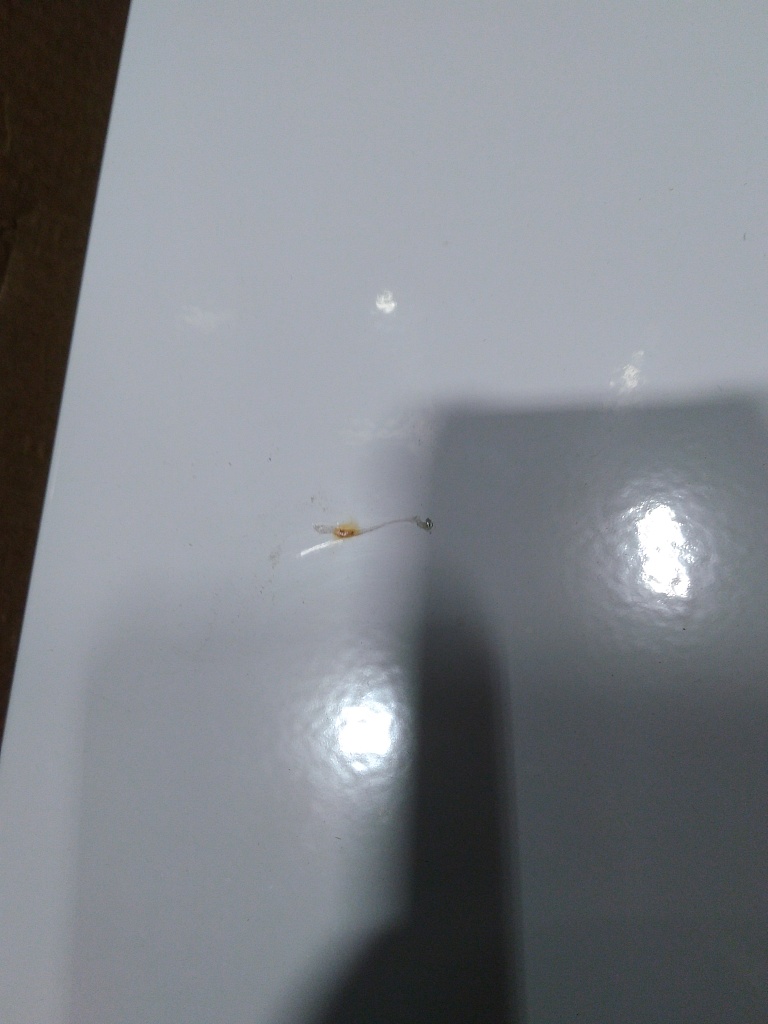 Уцененный товар (нетоварный вид упаковки, царапина на дверце): Шкаф распределительный  наружный STOUT 11-12 выходов (ШРН-4) 651х120х854