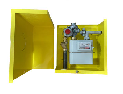 (ДРП-ГРП-ШРП) Газорегуляторный пунк ЕВРОПА  25 Arctic (2024 год)  + счетчик MK-G4T (уличный)