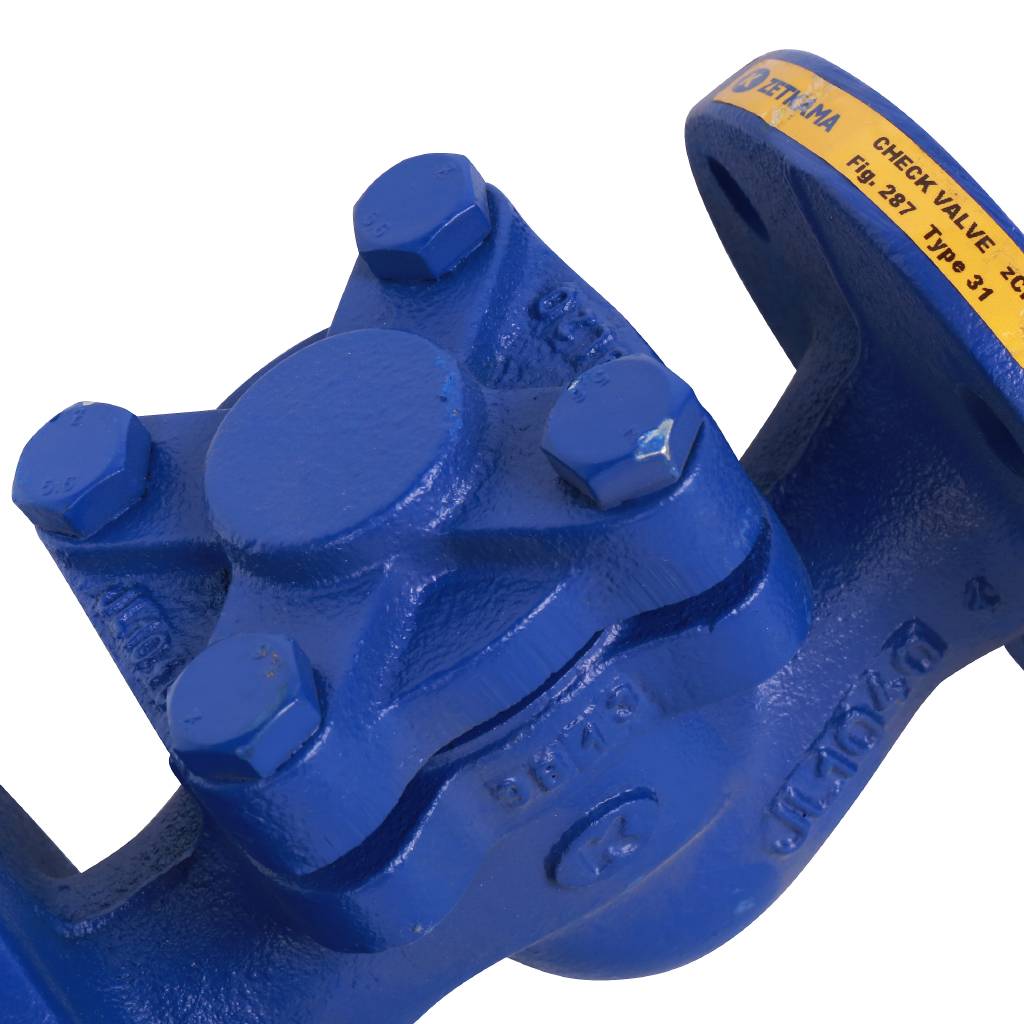 Клапан обратный подъемный ZETKAMA 287A Ду25 Ру16 фланцевый из чугуна, 287A025C31