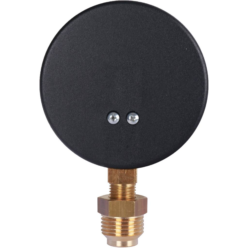 Термоманометр радиальный WATTS 80 мм 1/2 давление 6 бар