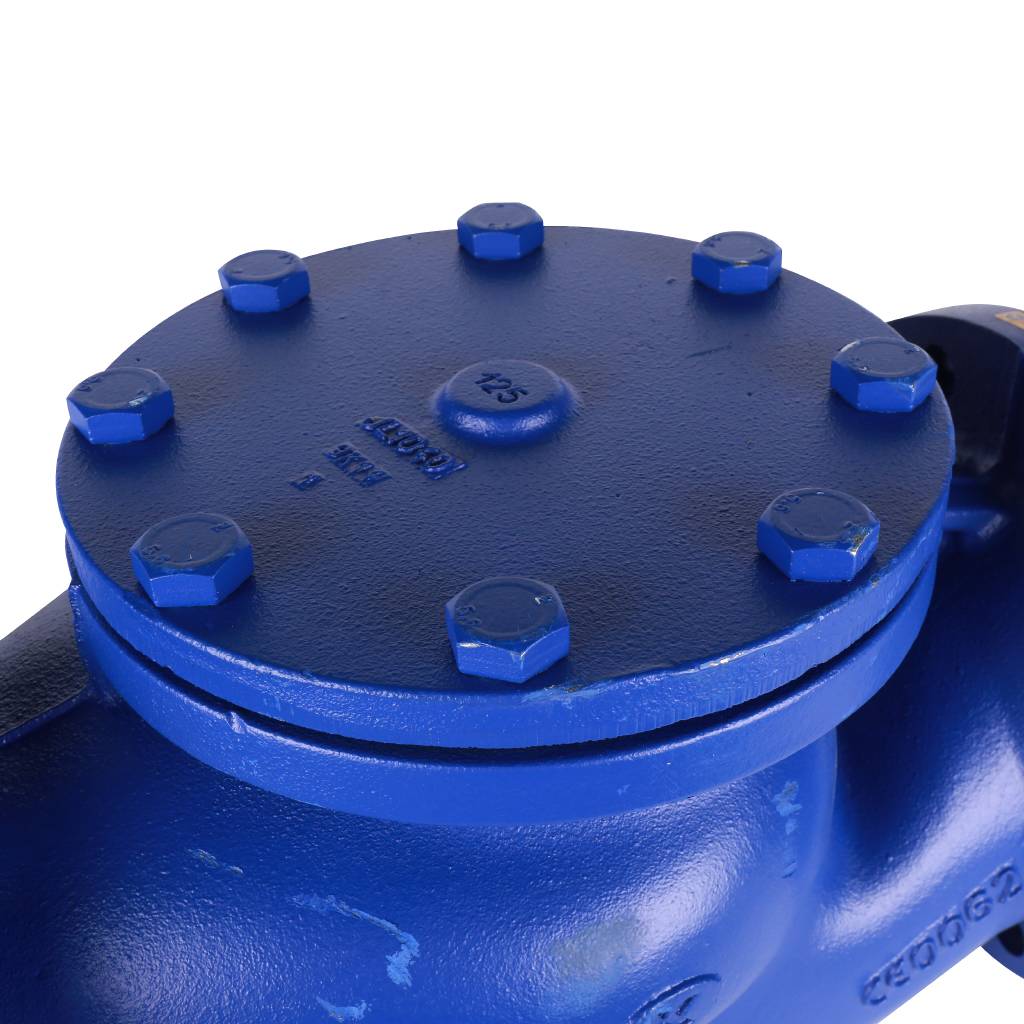 Клапан обратный подъемный ZETKAMA 287A Ду125 Ру16 фланцевый из чугуна, 287A125C31