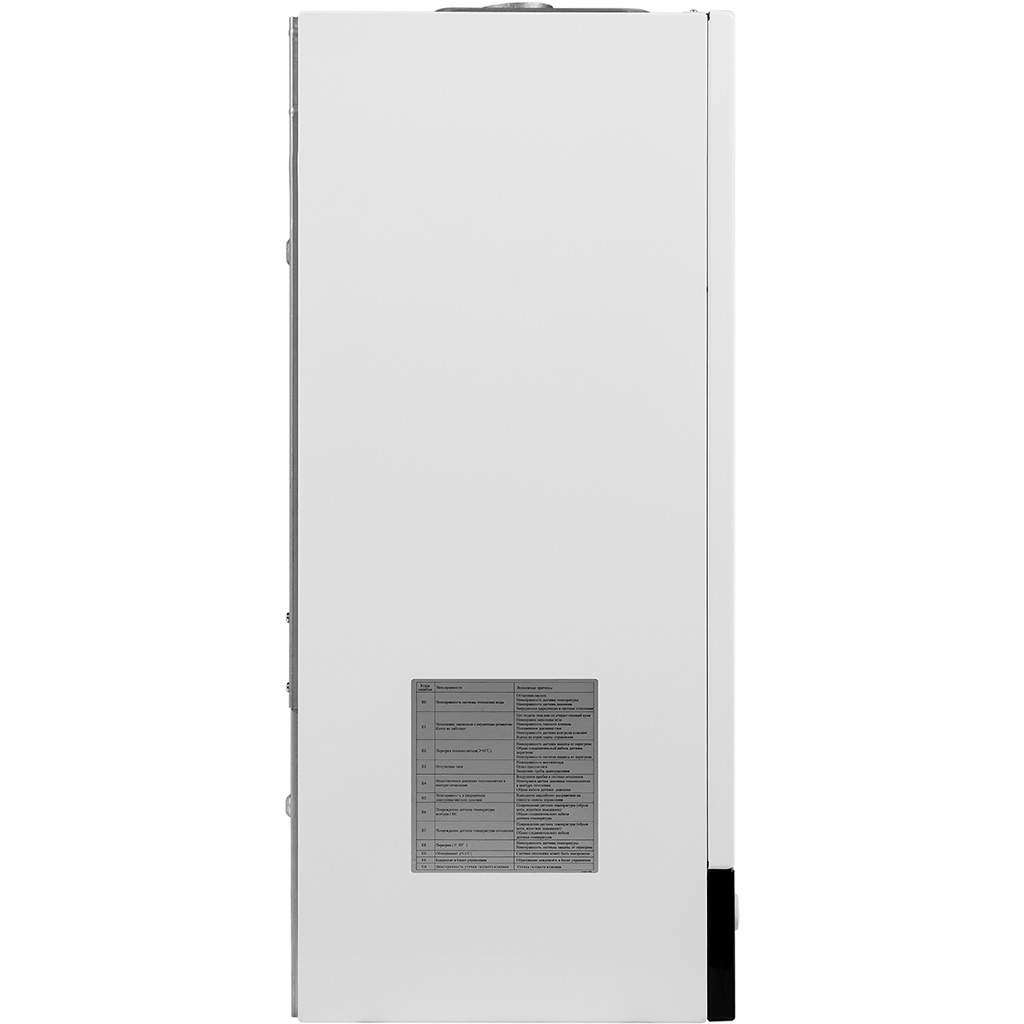 Mizudo CB.033.1424.0001 MIZUDO LITE ONE M22TH (22 кВт, одноконтурный, PH) OPT