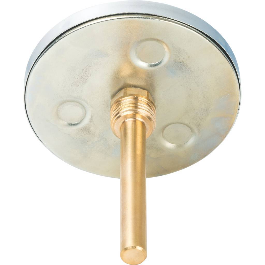 Термометр WATTS 1/2 F+R801(T) 100/100