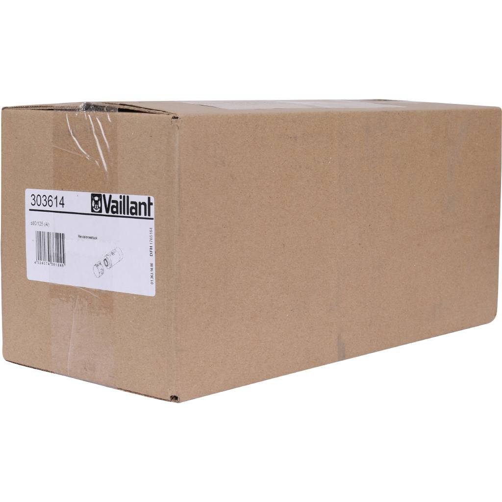 Ревизия Vaillant 80/125, 303614