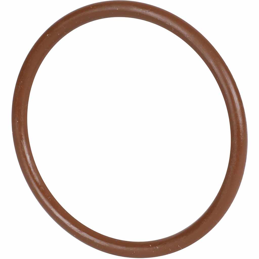 Уплотнительное кольцо ROMMER из FPM, 54, RSS-1028-000054