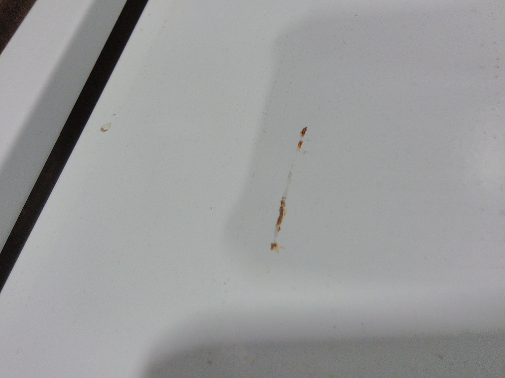 Уцененный товар (нетоварный вид упаковка, потертость, замятие): Шкаф распределительный наружный STOUT 19-20 выходов (ШРН-7) 651х120х1304