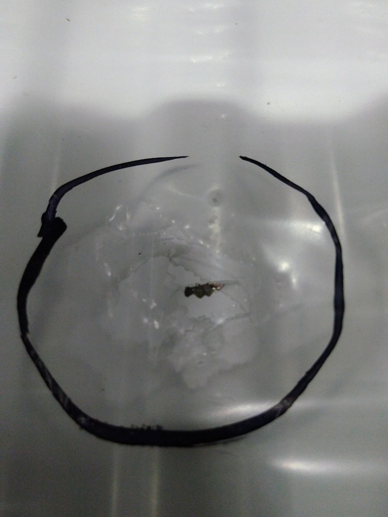 Уцененный товар (царапины на лицевой панели): Стальной панельный радиатор ROMMER Ventil 22/300/2200 нижнее правое подключение, RRS-2020-223220