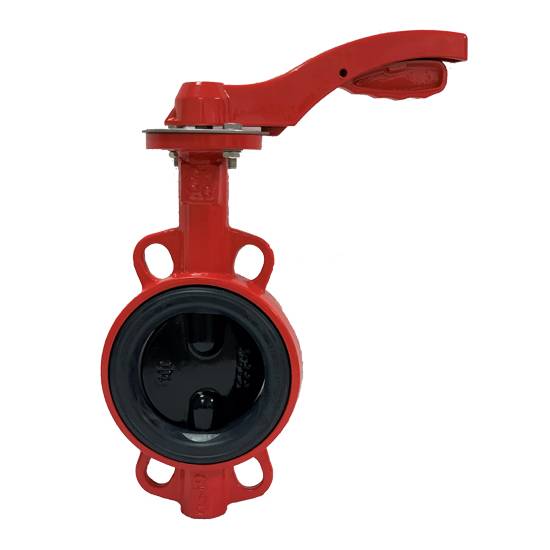 Затвор дисковый поворотный РАШВОРК DN065 PN16, GG25 / GGG40 / EPDM, М/Ф с рукояткой, 200-065-16