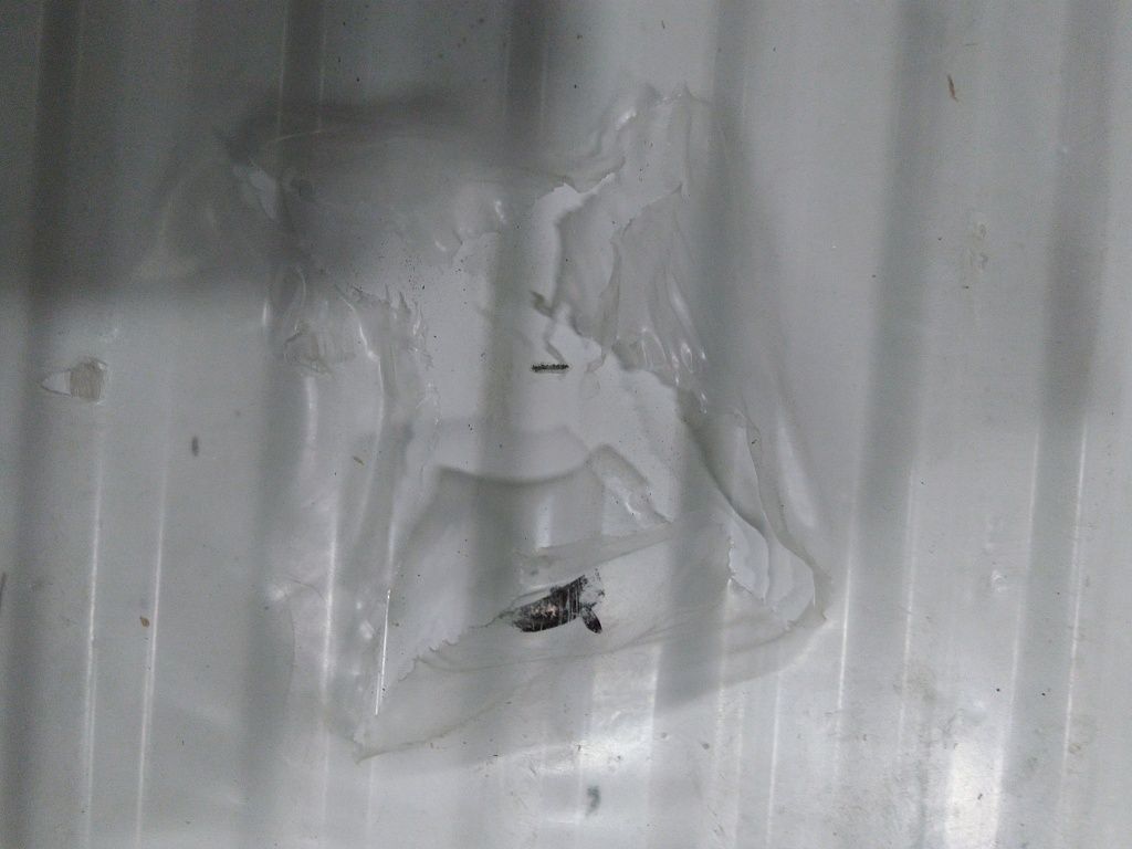 Уцененный товар (царапина, потертость): Стальной панельный радиатор Kermi Profil-K FK O 33/400/1600 белый боковое подключение RAL 9016