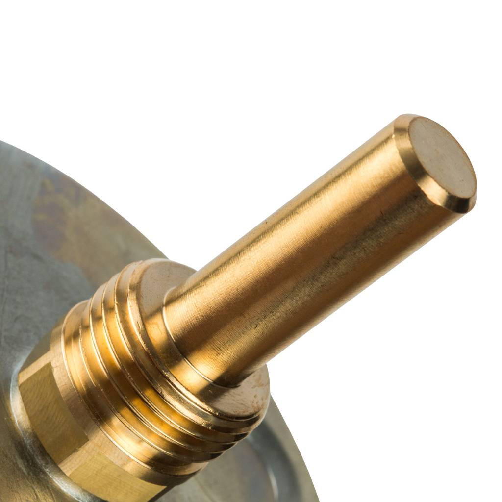 Термометр WATTS 1/2 F+R801(T) 80/50