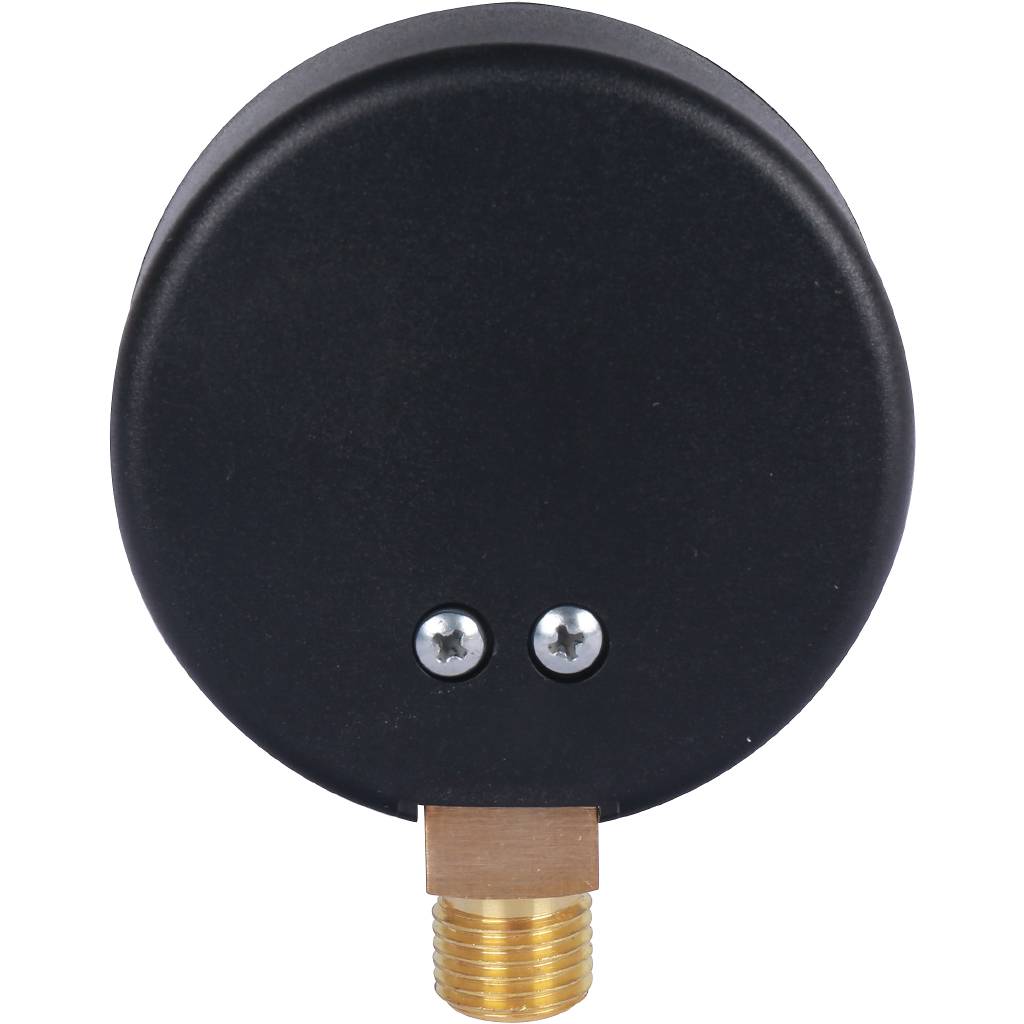 Манометр радиальный WATTS 63мм 1/4 давление 4 бар