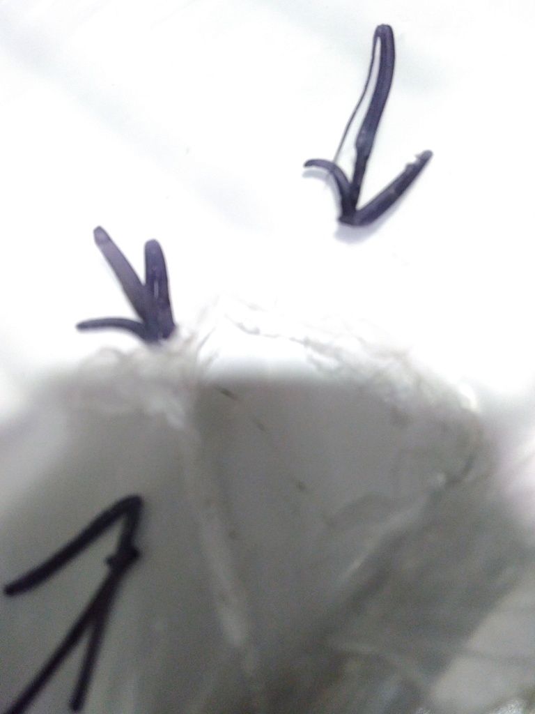 Уцененный товар (царапина): Стальной панельный радиатор ROMMER Compact 11/300/1600 боковое подключение, RRS-2010-113160