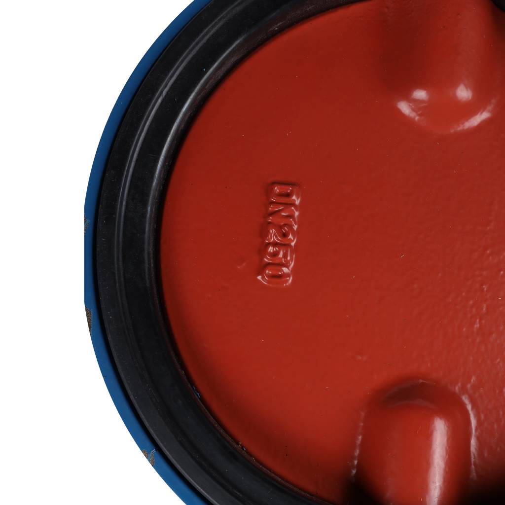 Затвор поворотно-дисковый Tecofi VPI4448 DN 250 PN 16 межфланцевый с ручкой из чугуна EPDM