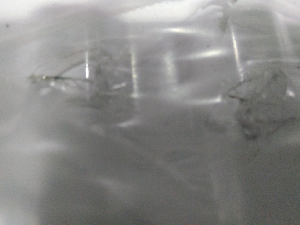 Уцененный товар (царапины на лицевой панели): Стальной панельный радиатор ROMMER Ventil 22/300/2200 нижнее правое подключение, RRS-2020-223220