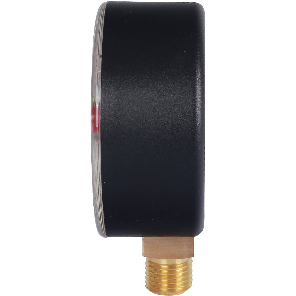 Манометр радиальный WATTS 63мм 1/4 давление 4 бар