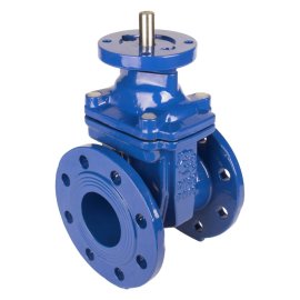 Задвижка с обрезиненным клином РАШВОРК 103-080-16, DN080 PN16, Ф/Ф, ISO5211 F10, с голым штоком