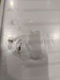 Уцененный товар (СКОЛ ЛКП / ПОВРЕЖДЕННЫЙ КОРПУС): Стальной панельный радиатор ROMMER Compact 21/500/2000 боковое подключение, RRS-2010-215200