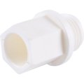Заглушка Kalde d=20 с резьбой для полипропиленовых труб под сварку (цвет белый)