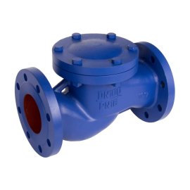 Клапан обратный подъемный РАШВОРК DN015 PN16, Ф/Ф, 487-015-16