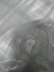 Уцененный товар (потертость): Стальной панельный радиатор ROMMER Ventil 22/200/1200 нижнее правое подключение, RRS-2020-222120